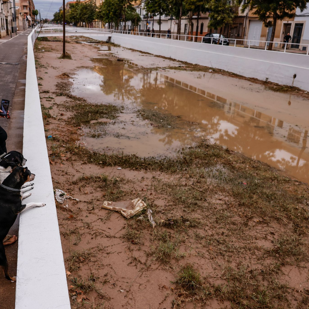 In Mitleidenschaft gezogen wurden vor allem die Region Valencia sowie Ibiza und Formentera. - Foto: Rober Solsona/EUROPA PRESS/dpa