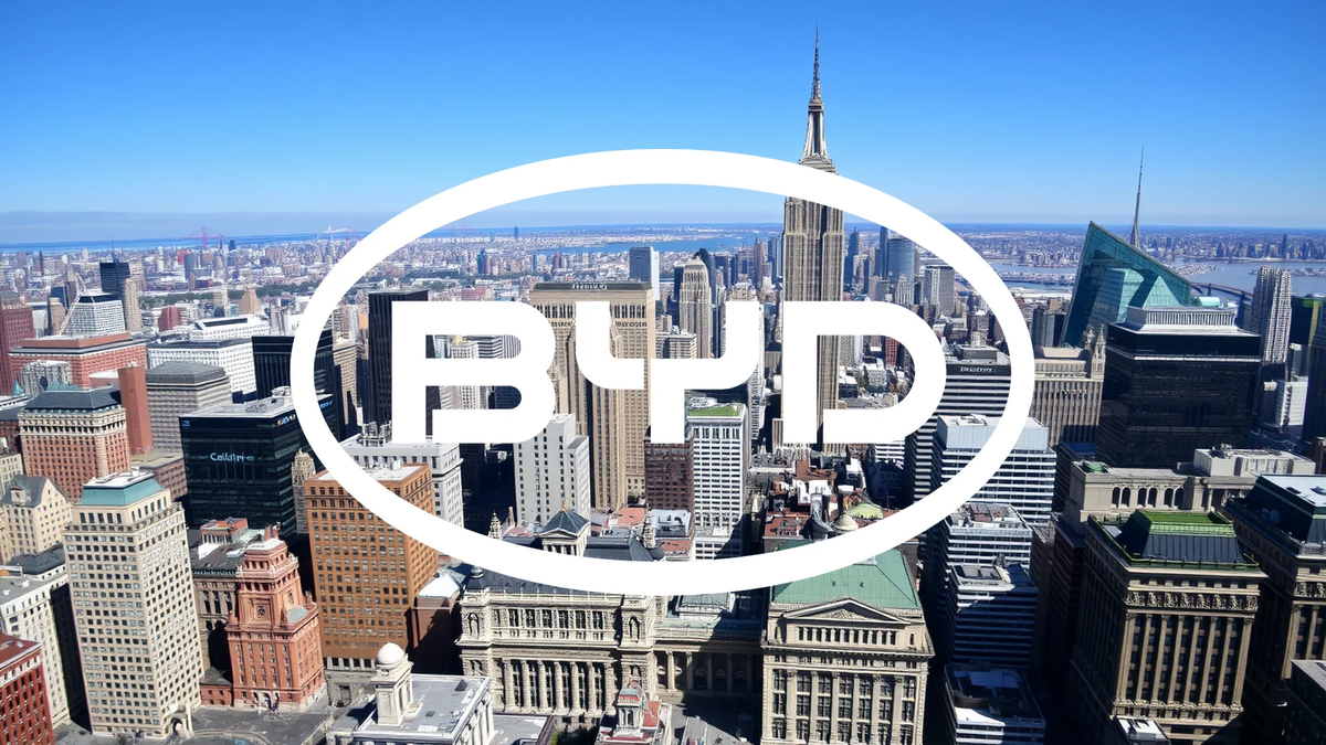 BYD’s Global Expansion Strategy Gains Momentum - Foto: über boerse-global.de