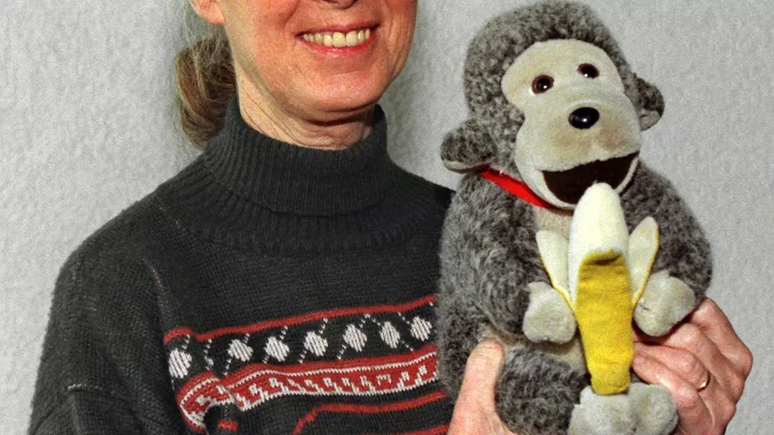 Jane Goodall brachte oft einen Affen mit. (Archivbild) - Bild: Volker Dornberger/dpa