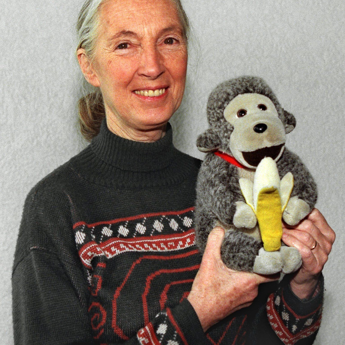 Jane Goodall brachte oft einen Affen mit. (Archivbild) - Foto: Volker Dornberger/dpa
