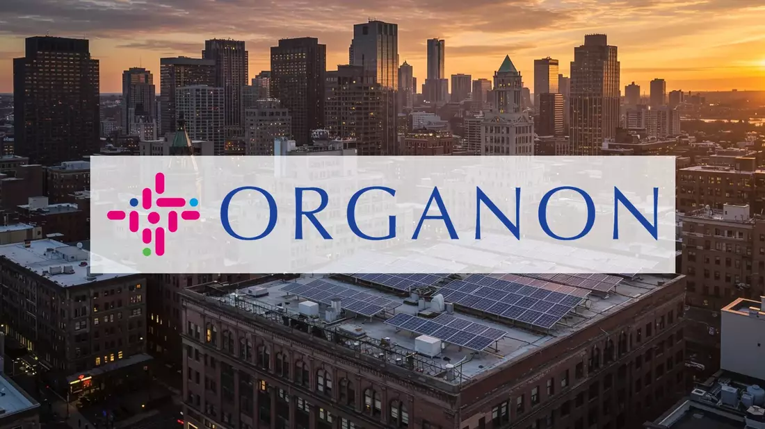 Orogen Royalties Aktie: Deal-Explosion in Nevada! - Bild: über boerse-global.de
