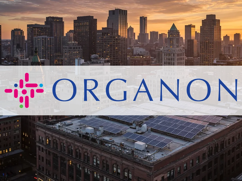 Orogen Royalties Aktie: Deal-Explosion in Nevada! - Foto: über boerse-global.de