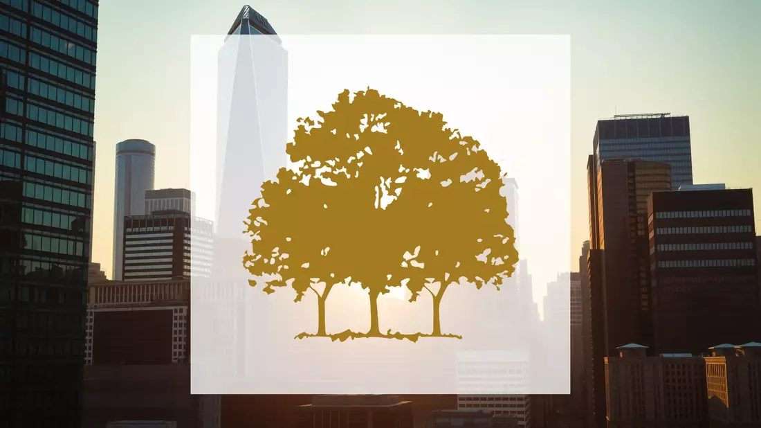 Canopy Growth Aktie: Achterbahn! - Bild: über boerse-global.de