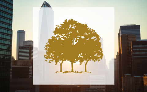 Canopy Growth Aktie: Achterbahn! - Foto: über boerse-global.de