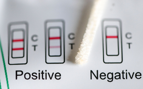 Positiv oder negativ - das zeigt ein Test an. (Symbolbild) - Foto: Jens Kalaene/dpa
