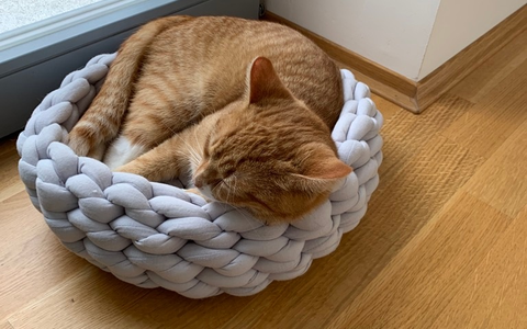 FW Dresden: Informationen zum Einsatzgeschehen von Feuerwehr und Rettungsdienst in der Landeshauptstadt Dresden vom 2. Oktober 2025 - Foto: presseportal.de