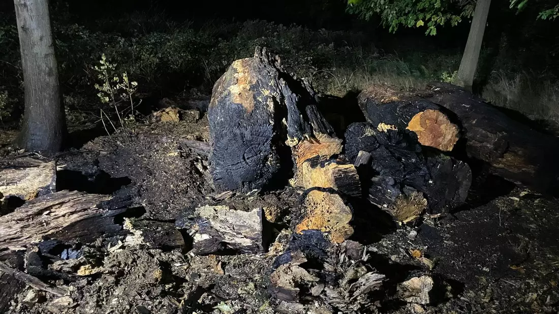 FW-EN: Wetter - Feuerwehr zweimal im Einsatz - Bild: presseportal.de