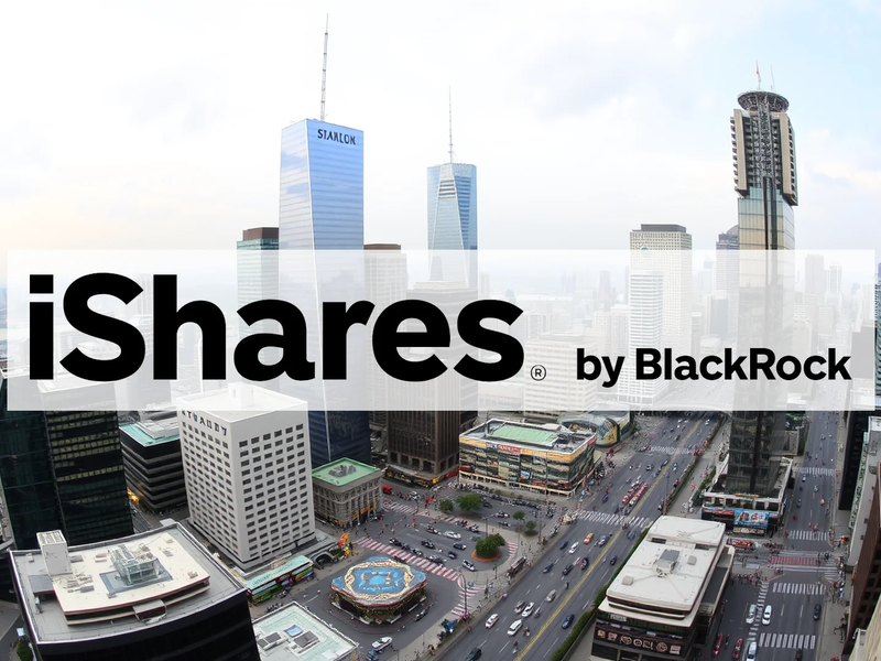 Black Knight Aktie: Trugschluss Sicherheit? - Foto: über boerse-global.de