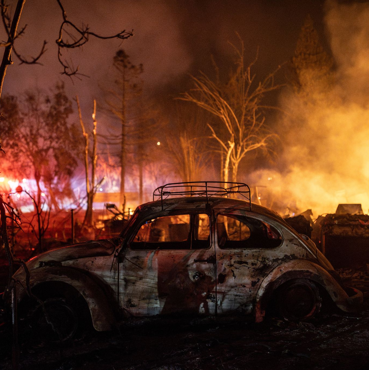Die Häufigkeit schwerer wirtschaftlicher Katastrophen durch Flächenbrände hat von 1980 bis 2023 um das 4,4-Fache zugenommen, so das Team. (Archivbild) - Foto: Stephen Lam/San Francisco Chronicle/AP/dpa