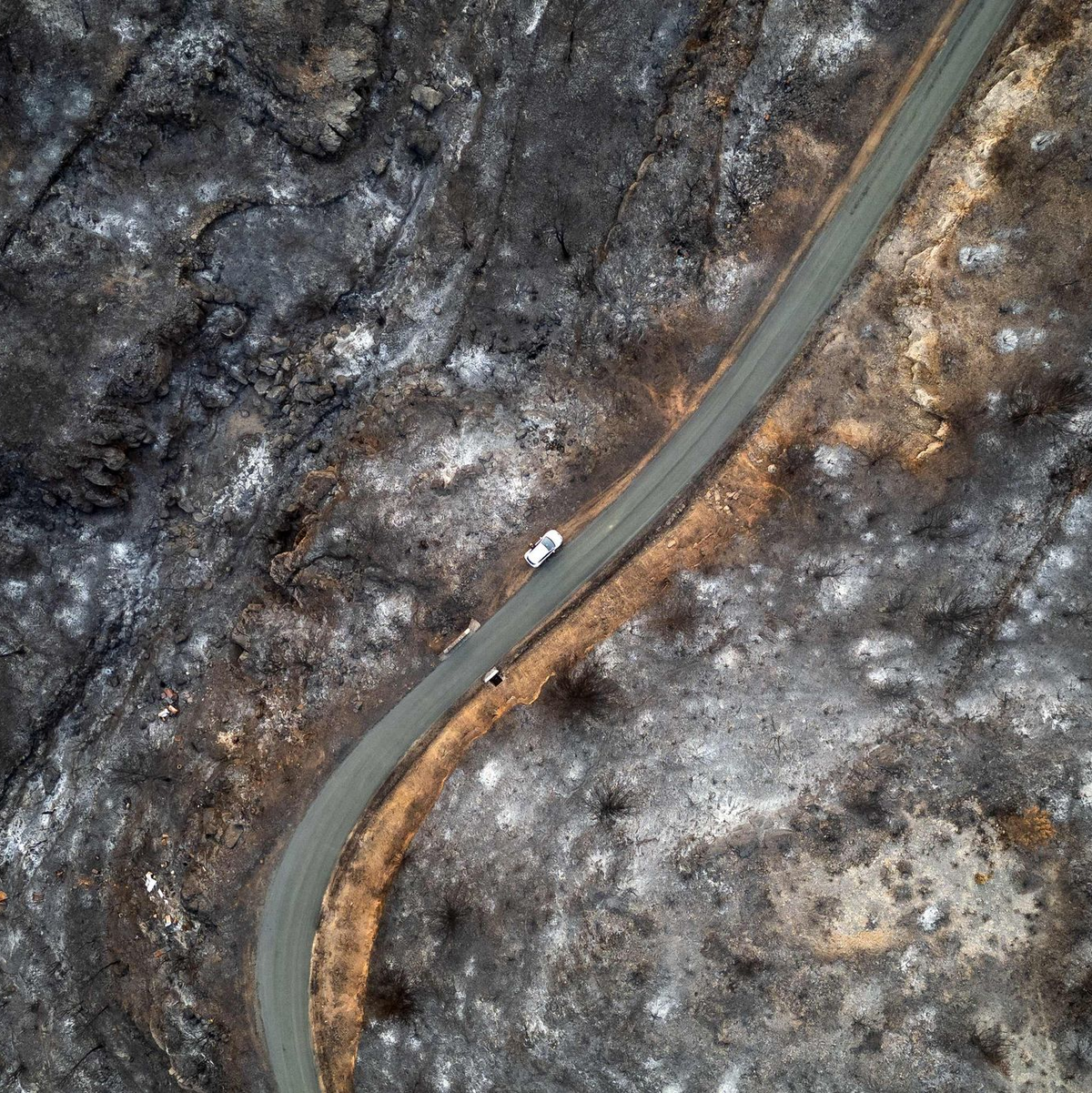 Der weltweite Schaden durch Flächenbrände hat seit 2015 stark zugenommen. (Archivbild) - Foto: Lionel Bonaventure/AFP/dpa