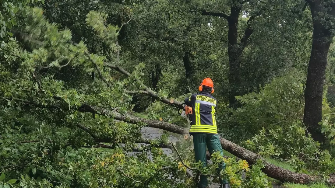FW-AUR: Baum stürzt auf Telefonleitung und Fahrbahn - Bild: presseportal.de