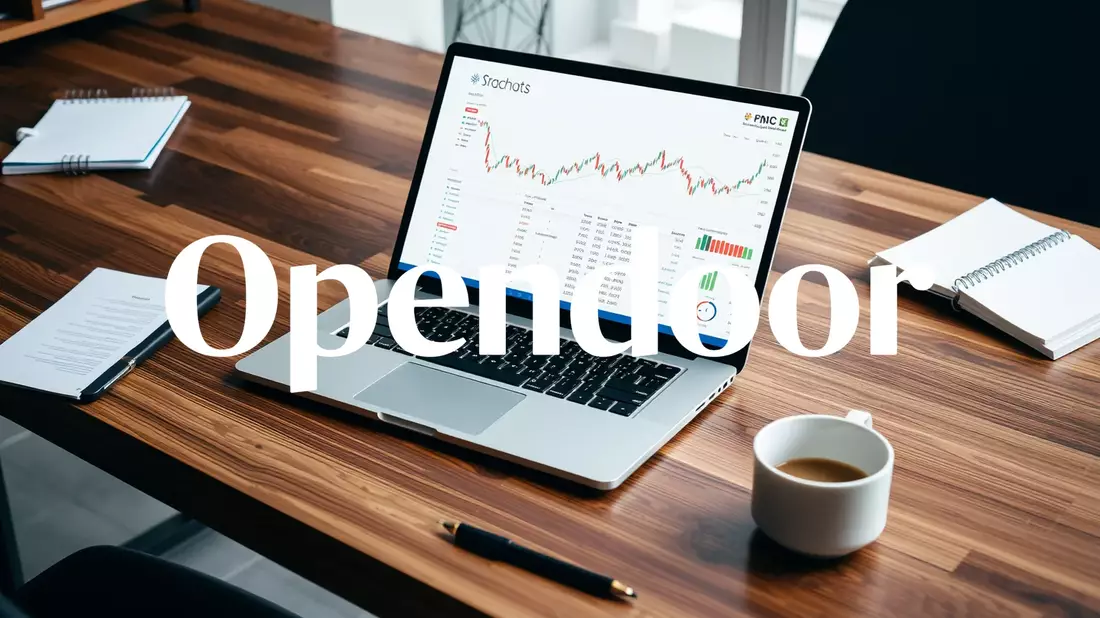 Opendoor Shares Surge on CEO’s Cryptic Transformation Hint - Bild: über boerse-global.de