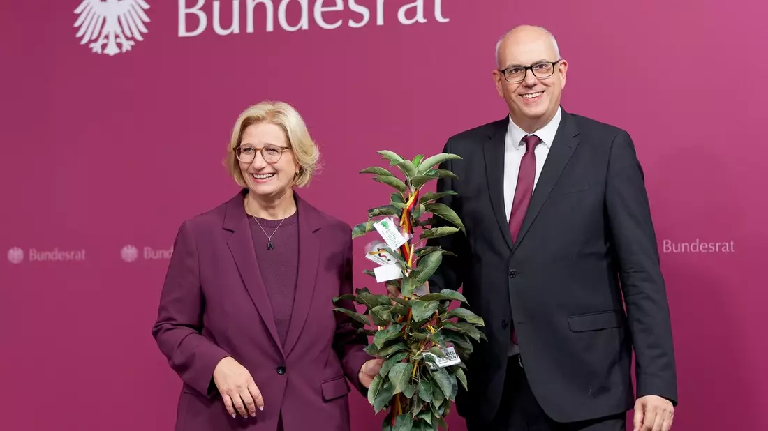 Ein Apfelbaum auf Reisen - Bild: presseportal.de