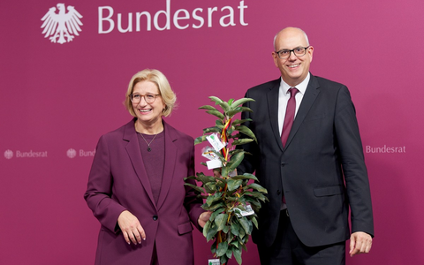 Ein Apfelbaum auf Reisen - Foto: presseportal.de