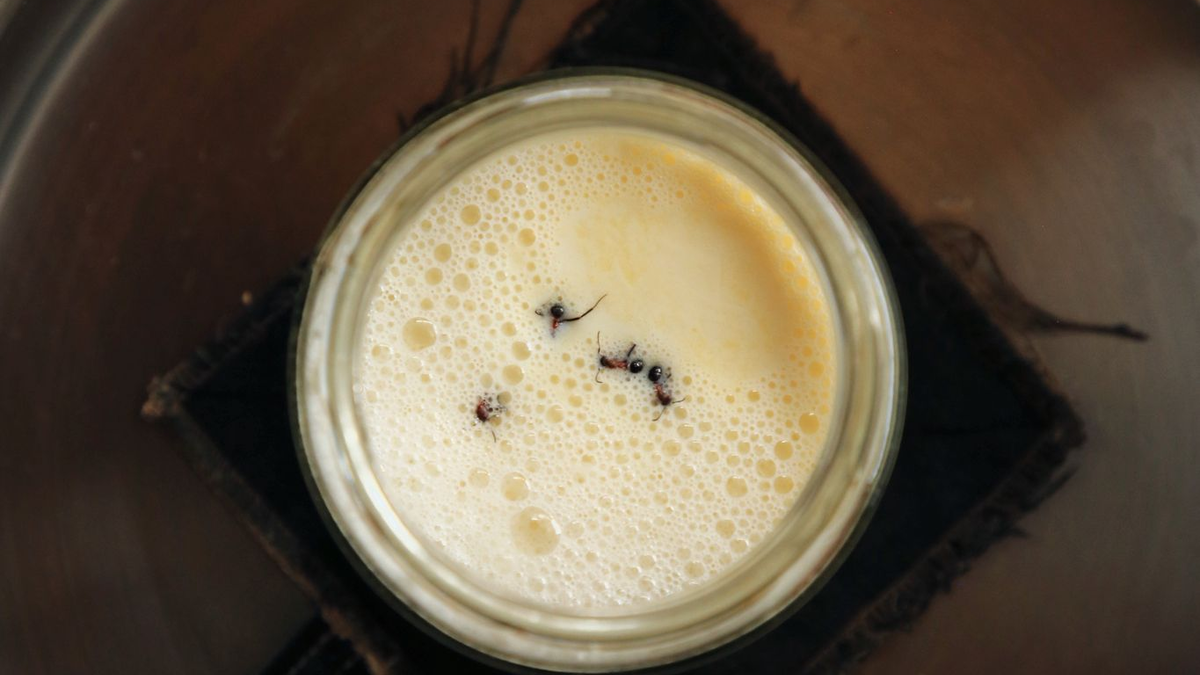 Die traditionelle Methode stammt aus der Türkei und dem Balkan. - Foto: David Zilber/dpa