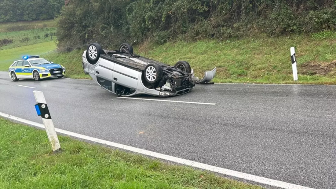 POL-PIROK: Wildunfall mit überschlagenem PKW - Bild: presseportal.de