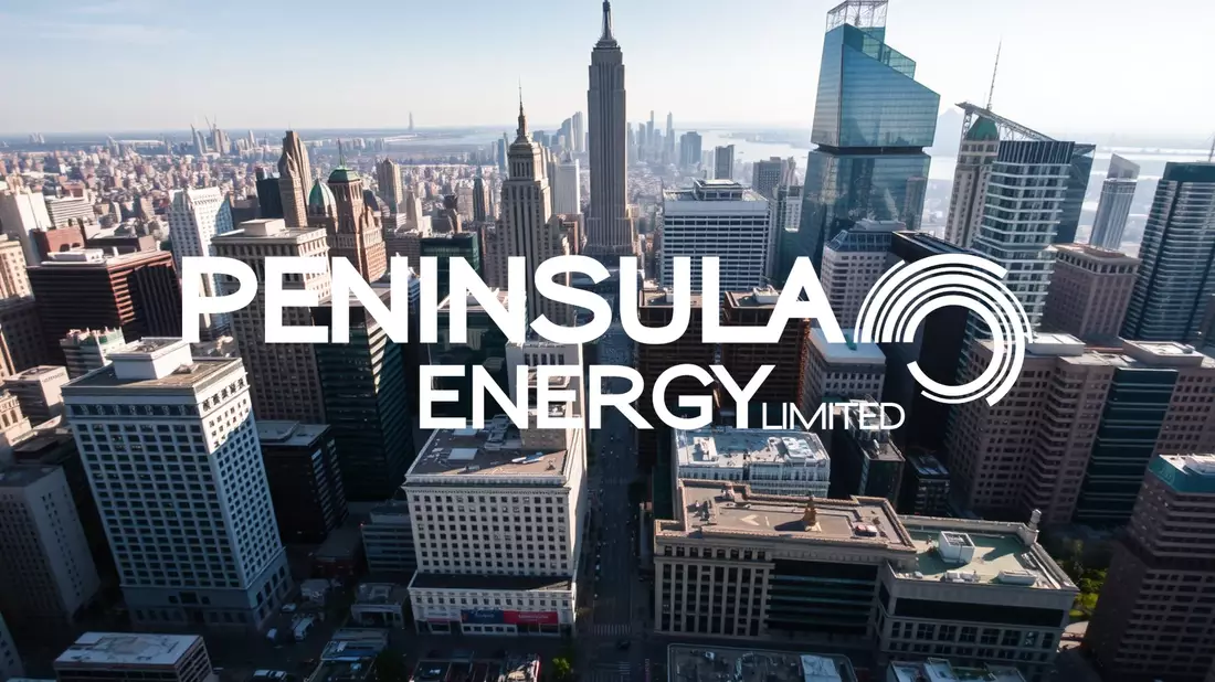 Peninsula Aktie: Warnsignal ignoriert - Bild: über boerse-global.de