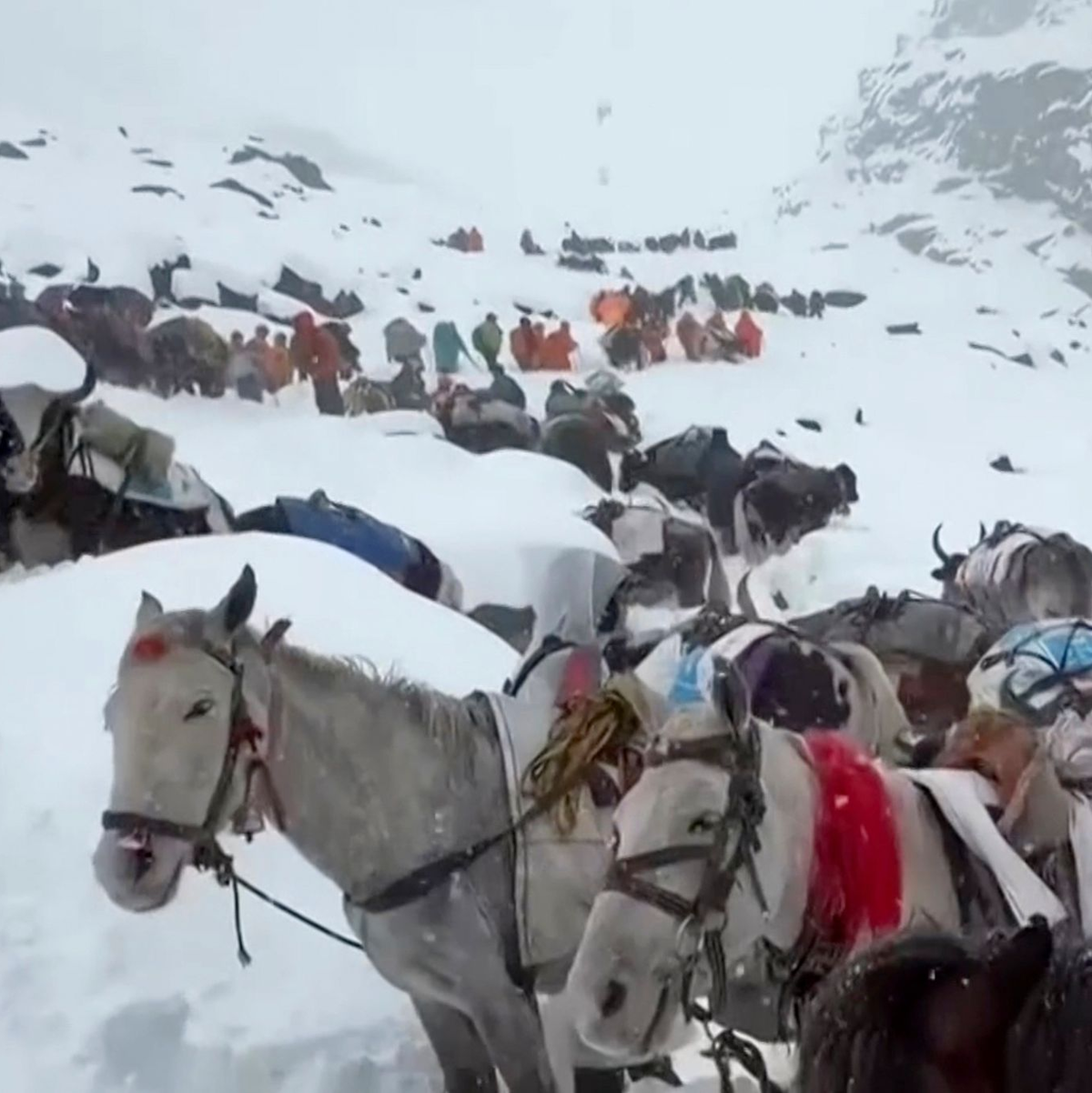 Ein Schneesturm war über das Gebiet hinweggezogen. - Foto: Lingsuiye/Xinhua/AP/dpa