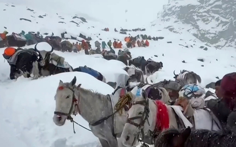Ein Schneesturm war über das Gebiet hinweggezogen. - Foto: Lingsuiye/Xinhua/AP/dpa