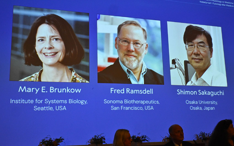 Die Medizin-Nobelpreisträger stehen fest. - Foto: Claudio Bresciani/TT News Agency/AP/dpa
