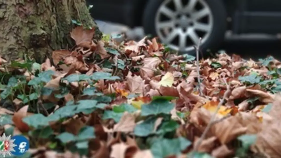 POL-BN: Sicher durch Herbst und Winter - Jetzt auf Winterreifen umrüsten - Bild: presseportal.de