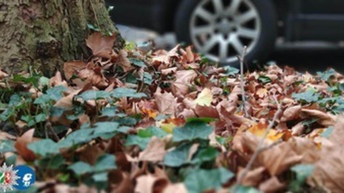 POL-BN: Sicher durch Herbst und Winter - Jetzt auf Winterreifen umrüsten - Foto: presseportal.de
