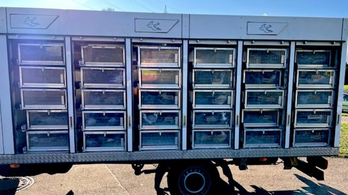 HZA-SI: Zoll versteuert flatterhafte Fracht - Foto: presseportal.de