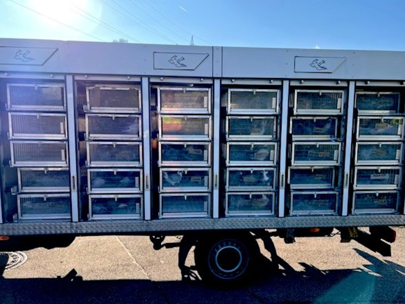 HZA-SI: Zoll versteuert flatterhafte Fracht - Foto: presseportal.de