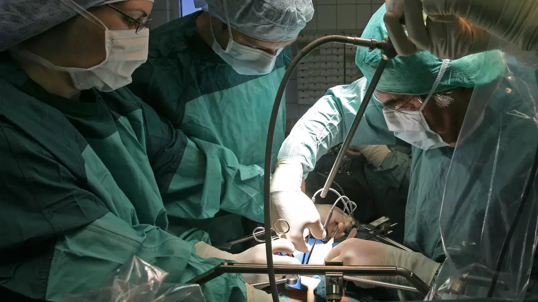 In Deutschland warten über 8.000 Menschen auf eine Organspende, vielfach schon seit Jahren. - Bild: Jan-Peter Kasper/dpa-Zentralbild/dpa