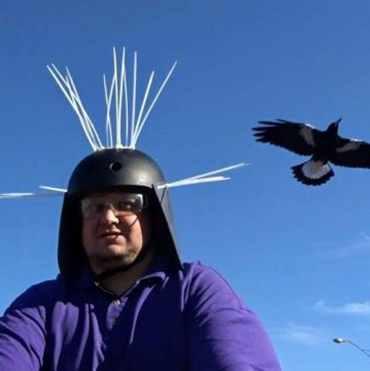 Youtuber Daniel Fitzgerald testet seinen Anti-Magpie-Helm. - Foto: Daniel Fitzgerald