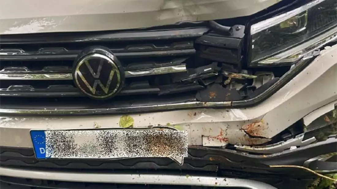 POL-RBK: Rösrath - Achtung Wildwechsel - Unfall mit zwei Leichtverletzten nach Ausweichmanöver - Bild: presseportal.de