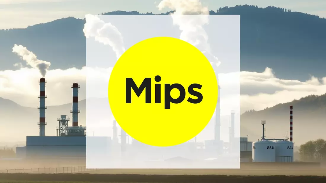 MIPS Aktie: Absturz oder Einstiegschance? - Bild: über boerse-global.de
