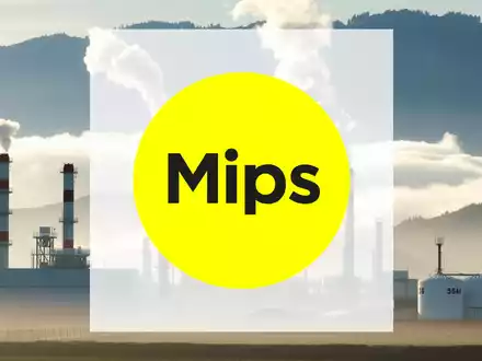 MIPS Aktie: Absturz oder Einstiegschance? - Foto: über boerse-global.de