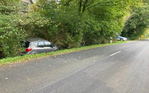 POL-CUX: Verkehrsunfall unter Alkoholeinfluss in Beverstedt-Frelsdorf (Foto im Anhang) - Foto: presseportal.de