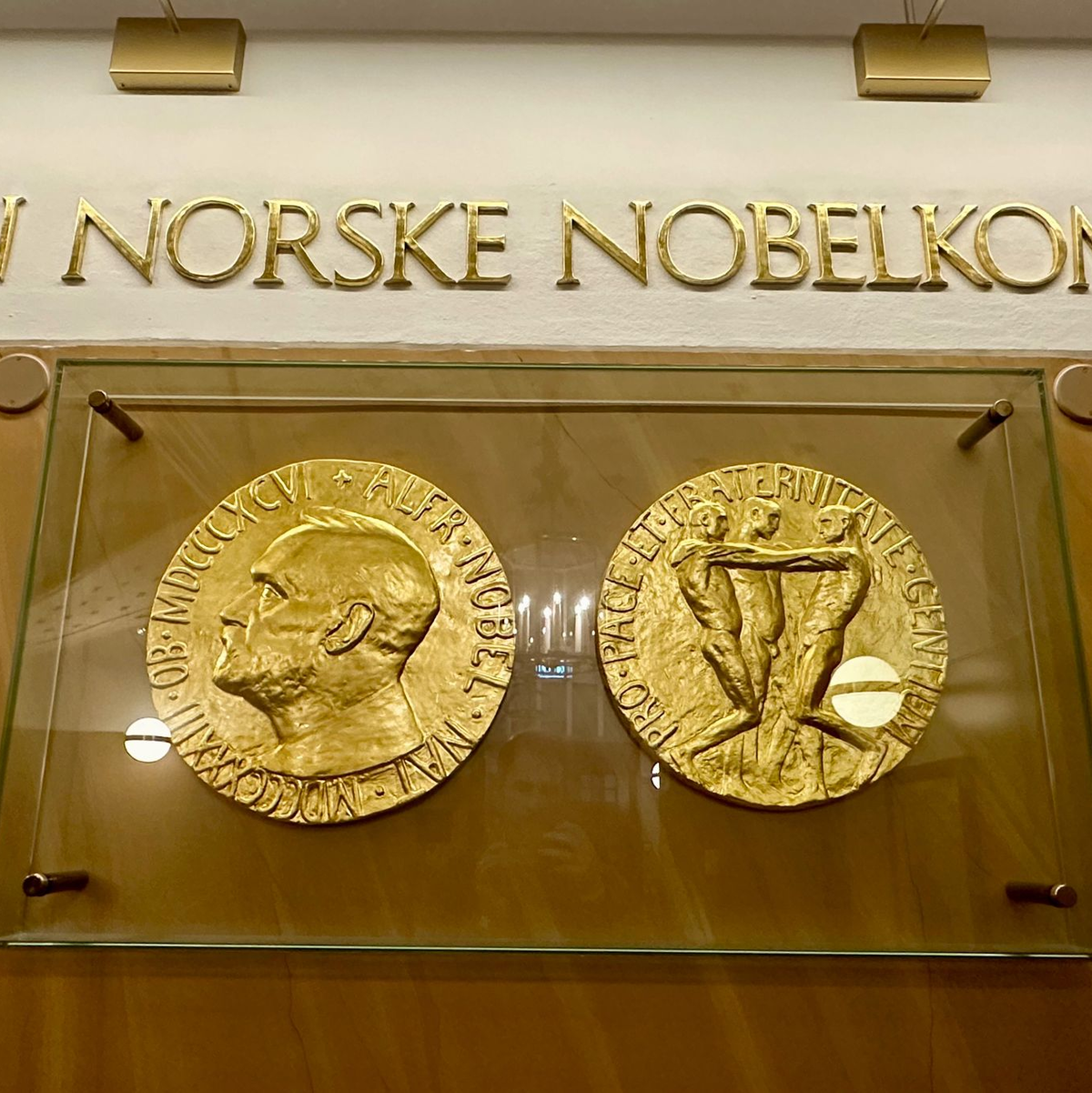 Das norwegische Nobelkomitee hat bekanntgegeben, wem sie den diesjährigen Friedensnobelpreis zuspricht. (Archivbild) - Foto: Steffen Trumpf/dpa