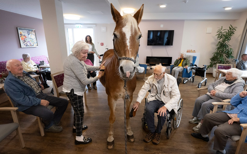 Besitzerin Plaßmeier trainiert mit ihrem Pferd für die Besonderheiten im Pflegeheim. - Foto: Boris Roessler/dpa