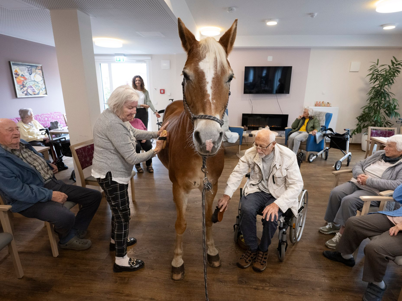 Besitzerin Plaßmeier trainiert mit ihrem Pferd für die Besonderheiten im Pflegeheim. - Foto: Boris Roessler/dpa