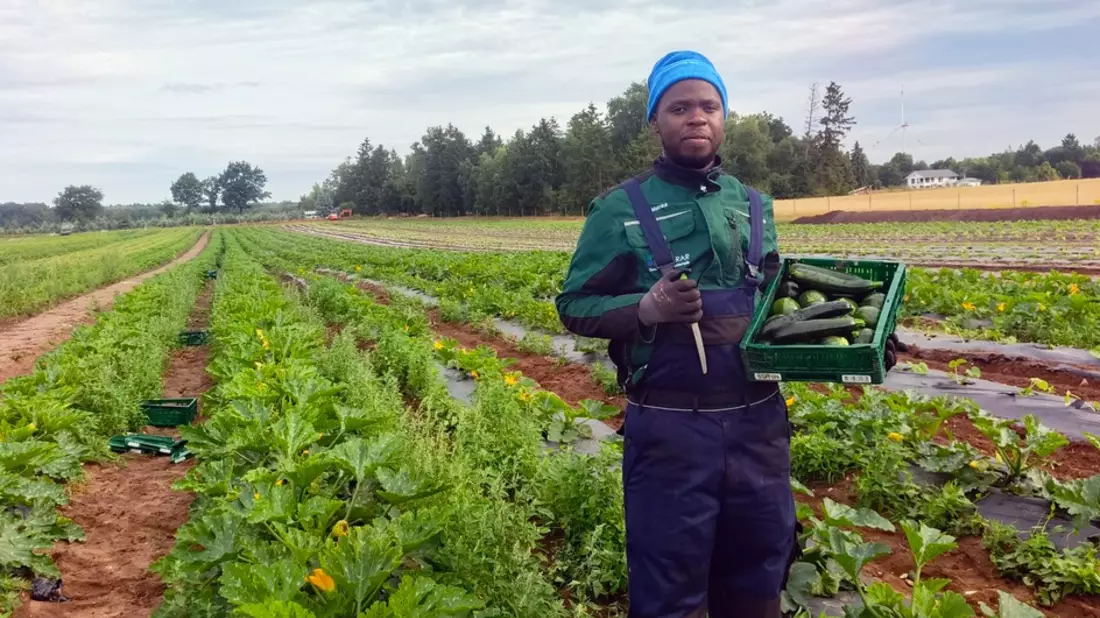 Sechs junge Landwirtinnen und Landwirte aus Uganda absolvieren Austausch in Deutschland / 10. Runde des International Young Farmers' Exchange Program (IYFEP) erfolgreich abgeschlossen - Bild: presseportal.de