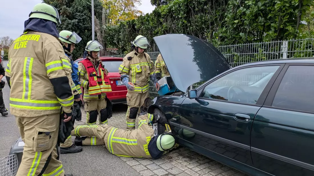 FW-KLE: Feuerwehr befreit Katze aus Motorraum - Bild: presseportal.de