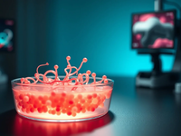 Mikrobiom-Revolution: Das zweite Gehirn in unserem Körper - Foto: über boerse-global.de