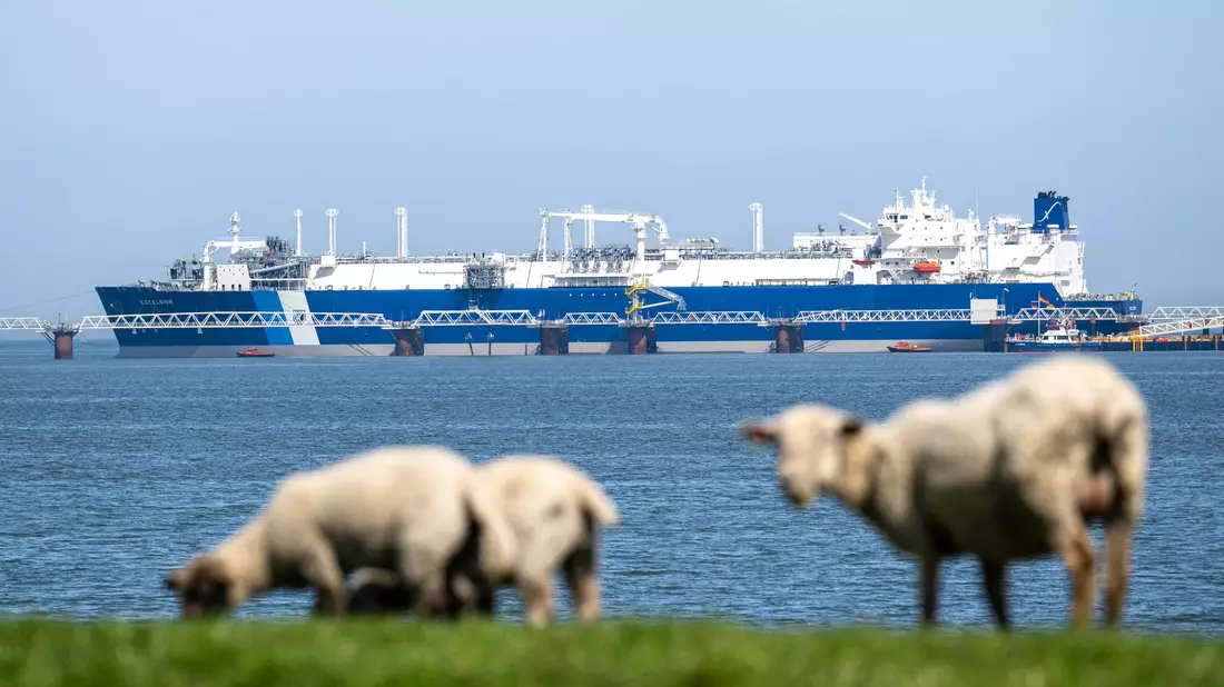 Das Spezialschiff «Excelsior» hat als schwimmendes LNG-Terminal Ende August den kommerziellen Betrieb aufgenommen. (Archivbild) - Bild: Sina Schuldt/dpa