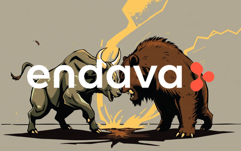 Endava Shares Continue Downward Spiral as Concerns Mount - Foto: über boerse-global.de