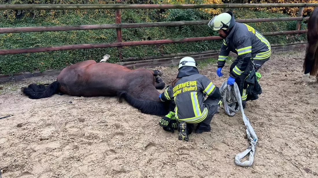 FW-EN: 3 Einsätze am Montagnachmittag für die Freiwillige Feuerwehr Wetter (Ruhr) - Bild: presseportal.de