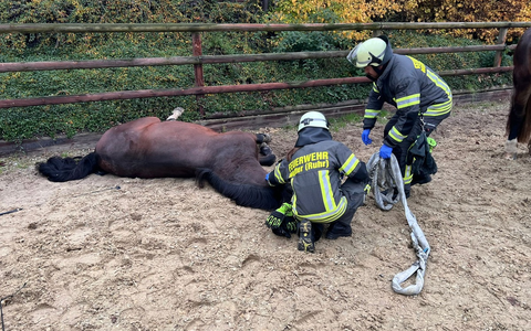 FW-EN: 3 Einsätze am Montagnachmittag für die Freiwillige Feuerwehr Wetter (Ruhr) - Foto: presseportal.de