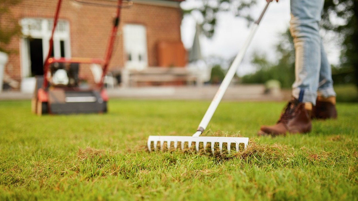 Rasenpflege im Herbst: So kommt der grüne Teppich gesund durch den Winter - Foto: presseportal.de