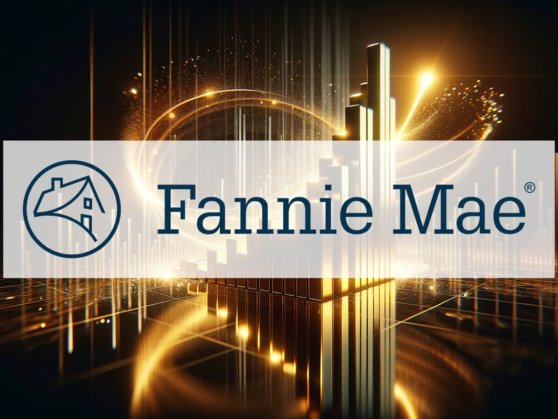 Fannie Mae Aktie: Konstante Herausforderungen? - Foto: über boerse-global.de