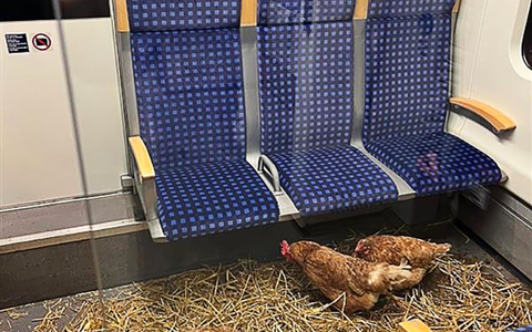«Die Eier sind 1. Klasse», schrieb die Deutsche Bahn auf Instagram zu den zurückgelassenen Hühnern. - Foto: -/Deutsche Bahn AG/dpa