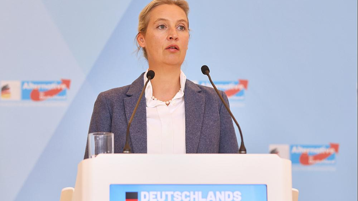 Alice Weidel am 14.10.2025 - Foto: über dts Nachrichtenagentur