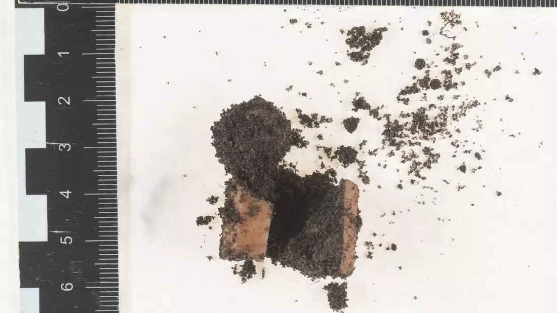 POL-STD: Mögliche Giftköder im Buxtehuder Stadtpark gefunden - Polizei ruft Hundehalter zur Umsicht auf und sucht Zeugen - Bild: presseportal.de