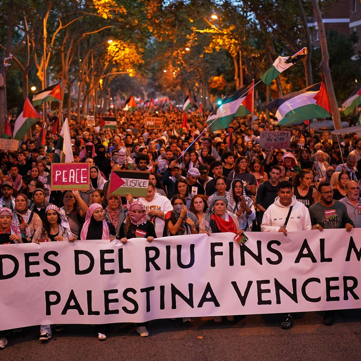 Medienberichten zufolge beteiligten sich in Spanien vor allem Studenten an den Protesten gegen Israel und Solidaritätskundgebungen für Palästinenser. - Foto: Bernat Armangue/AP/dpa